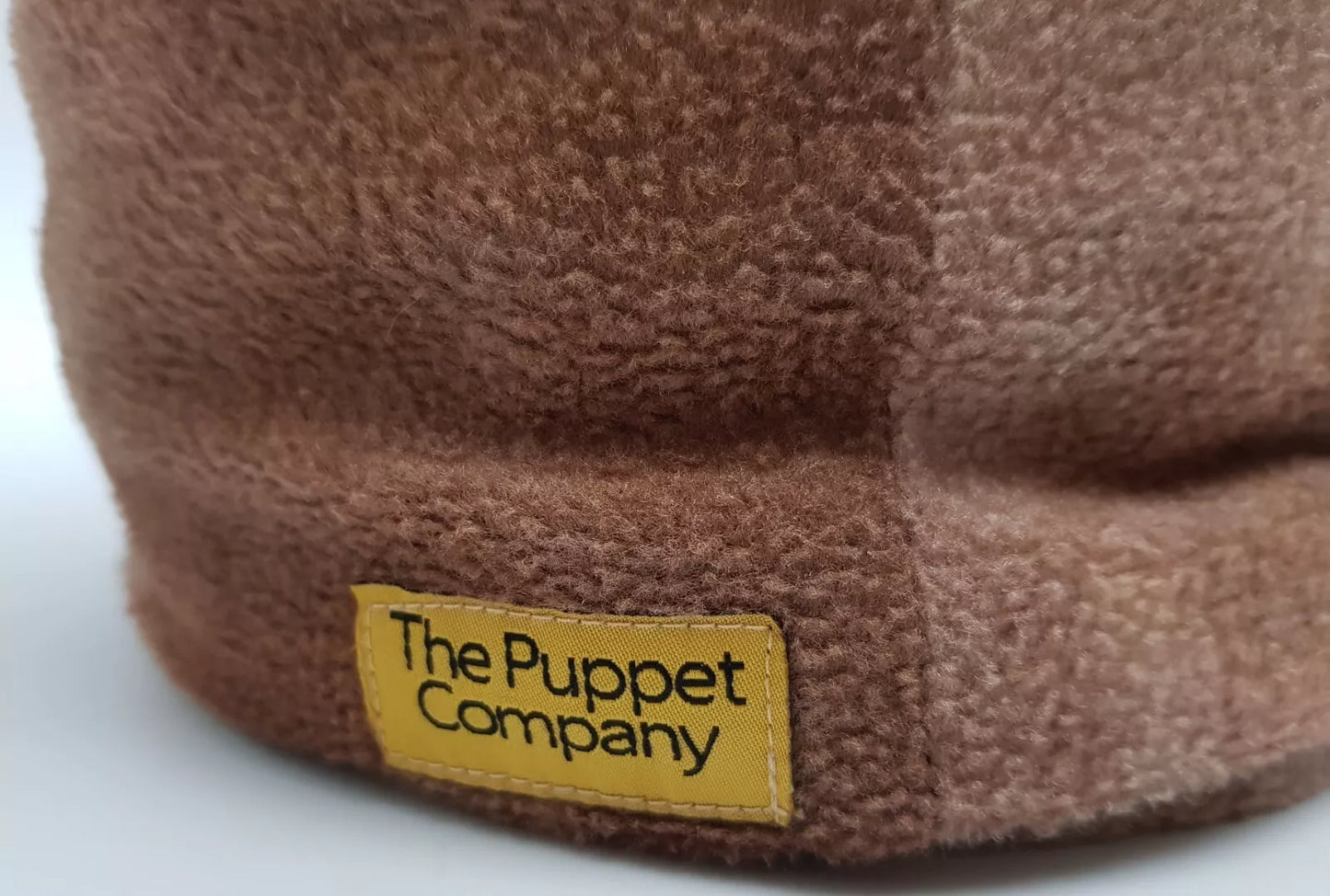 Large Dino Heads – Triceratops