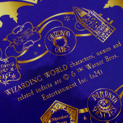 Harry Potter: Chocolate Frog Single Coaster