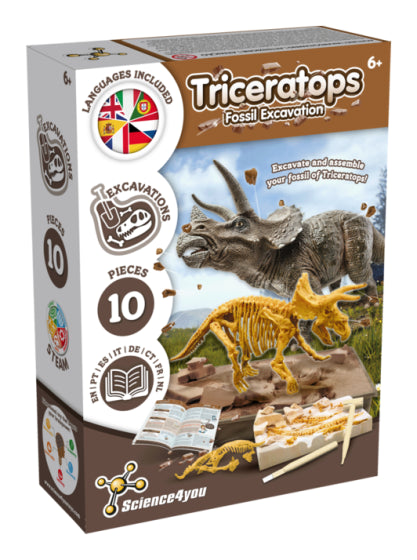 Triceratops Fossil Excavation