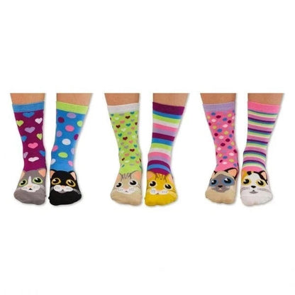 United ODDSOCKS Catwalk Size UK 4-8 Set Of 6 Women's Socks Kittens Odd Gift Idea