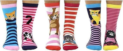 United Oddsocks - Feline Good - Box of 6 Odd Socks for Ladies - UK 4-8 EUR 37-42