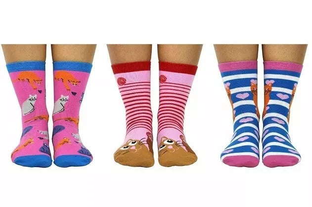 COCKNEY SPANIEL - CAT BOX SOCKS