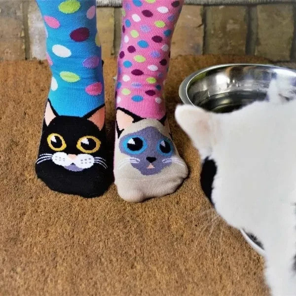 United ODDSOCKS Catwalk Size UK 4-8 Set Of 6 Women's Socks Kittens Odd Gift Idea
