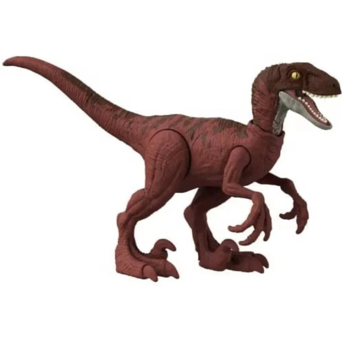 Jurassic World Ferocious Pack –Velociraptor Dinosaur Figure-Was £12.99 NOW £8.99