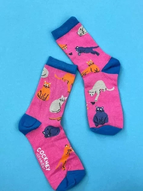 COCKNEY SPANIEL - CAT BOX SOCKS