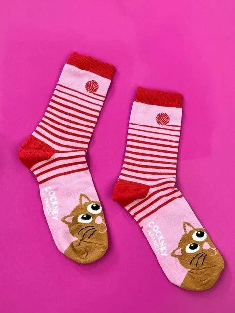 COCKNEY SPANIEL - CAT BOX SOCKS