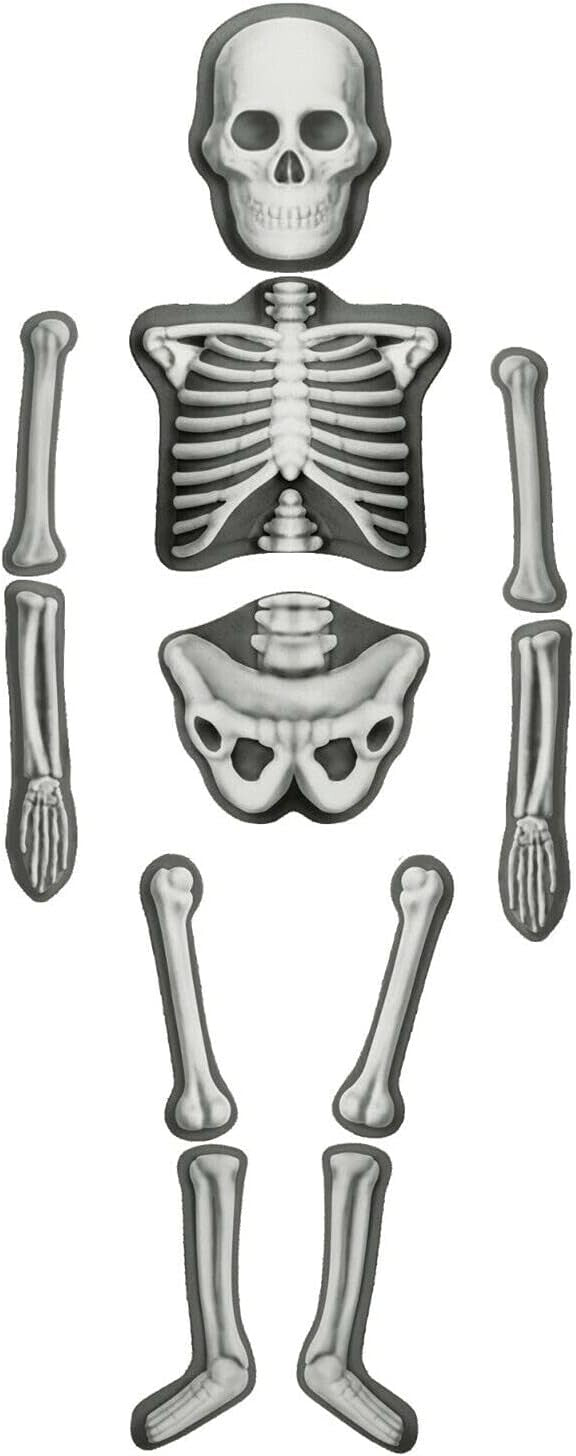 Spooky  Halloween Decoration Kids Craft Glow In The Dark Make Decorate Skeleton