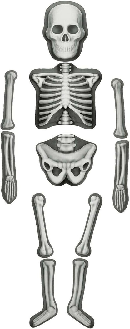 Spooky  Halloween Decoration Kids Craft Glow In The Dark Make Decorate Skeleton