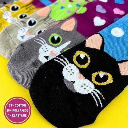 United ODDSOCKS Catwalk Size UK 4-8 Set Of 6 Women's Socks Kittens Odd Gift Idea