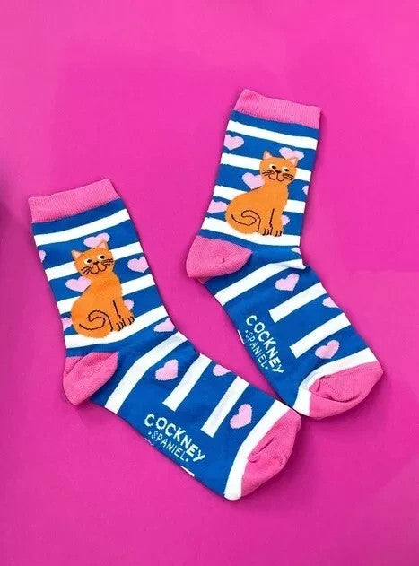 COCKNEY SPANIEL - CAT BOX SOCKS