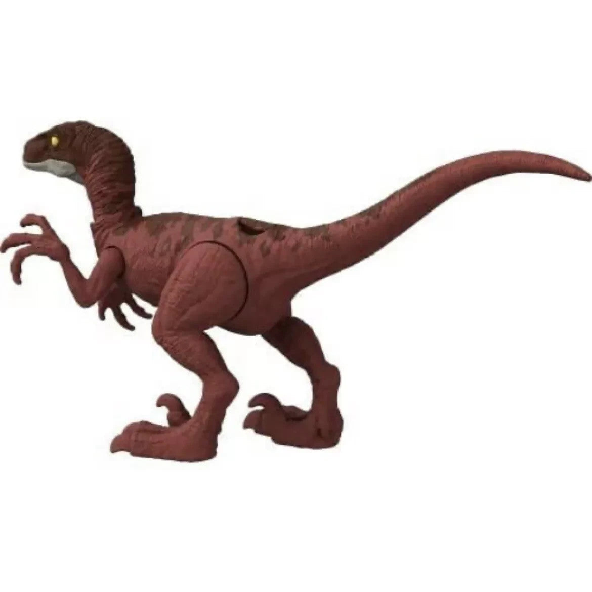 Jurassic World Ferocious Pack –Velociraptor Dinosaur Figure-Was £12.99 NOW £8.99