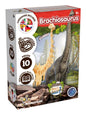 Science4you - Brachiosaurus Fossil Digging Kit for Kids +6 - Excavate & Assemble