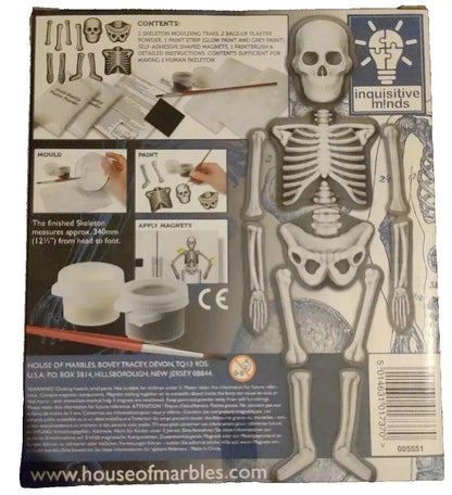 Spooky  Halloween Decoration Kids Craft Glow In The Dark Make Decorate Skeleton