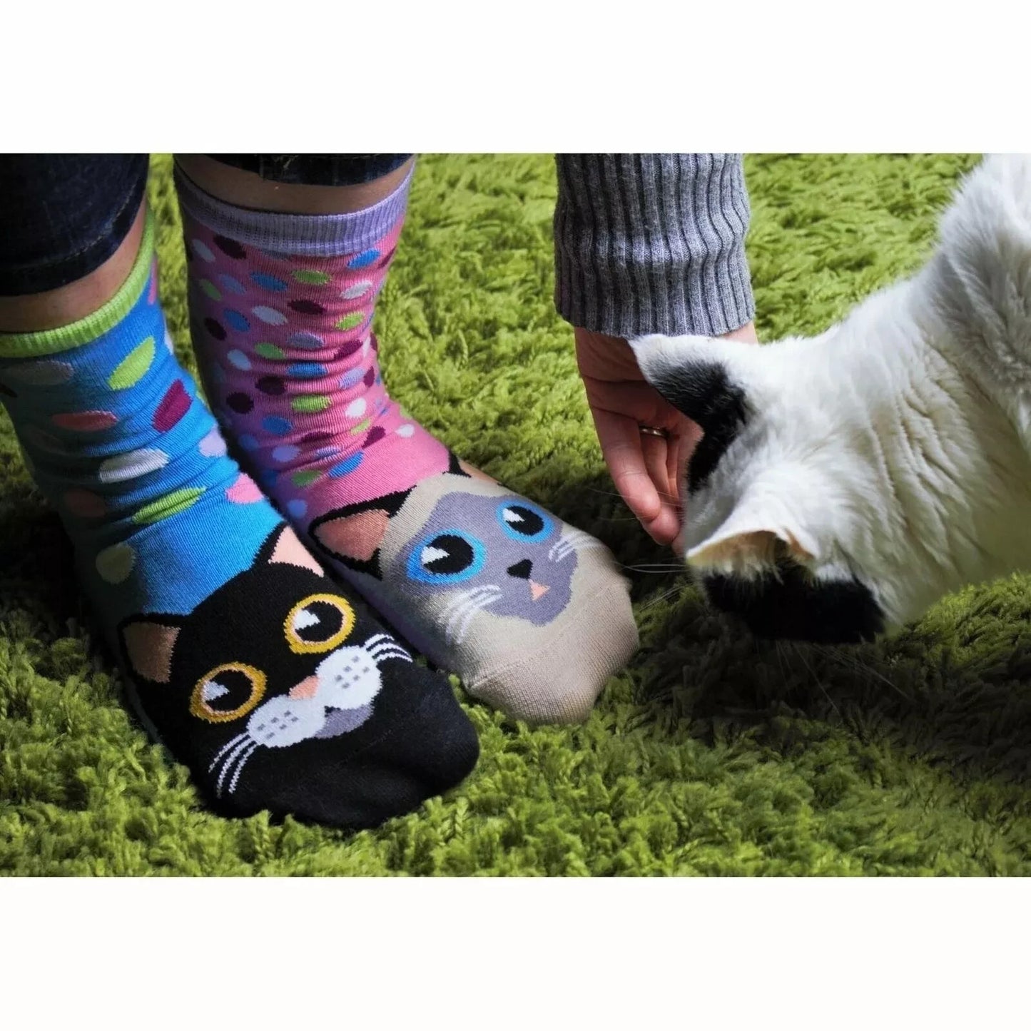 United ODDSOCKS Catwalk Size UK 4-8 Set Of 6 Women's Socks Kittens Odd Gift Idea