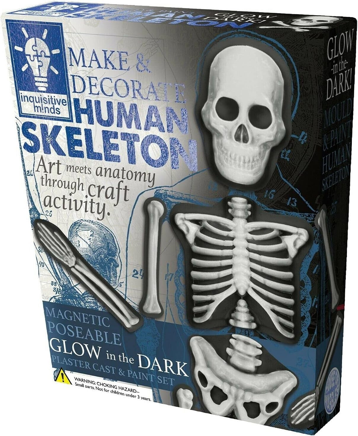 Spooky  Halloween Decoration Kids Craft Glow In The Dark Make Decorate Skeleton