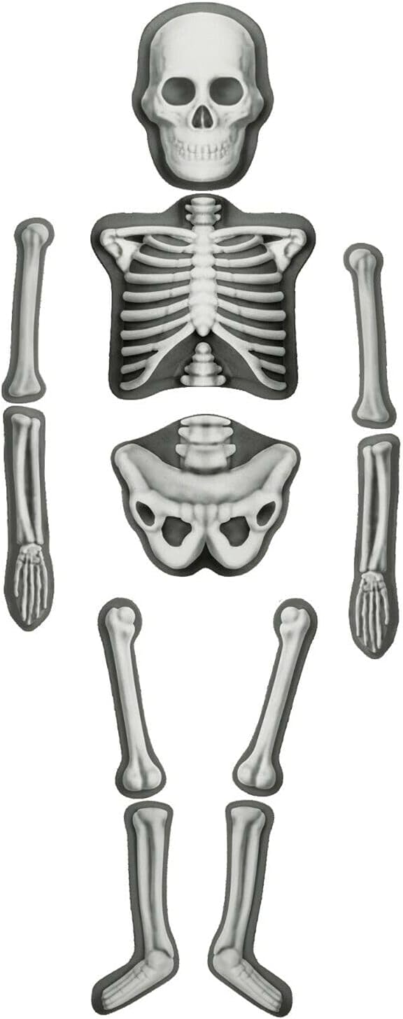 House of Marbles Kid's Mould & Paint Human Skeleton Kit