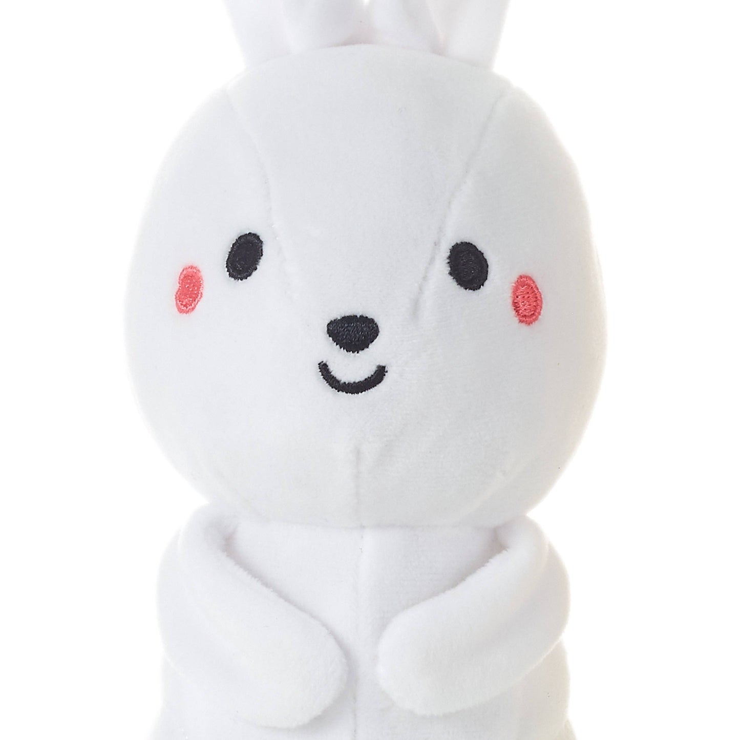 Better Together Bunny & Carrot Magnetic Soft Toy Pair